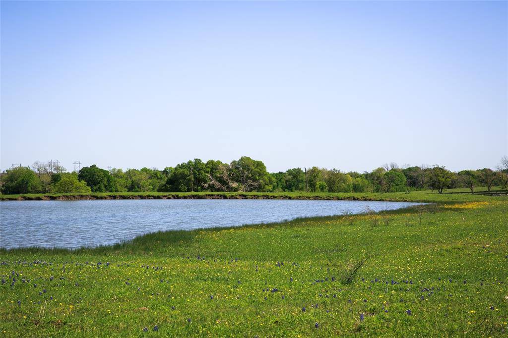 Chappell Hill, TX 77426,84 Acres Caney Creek Road