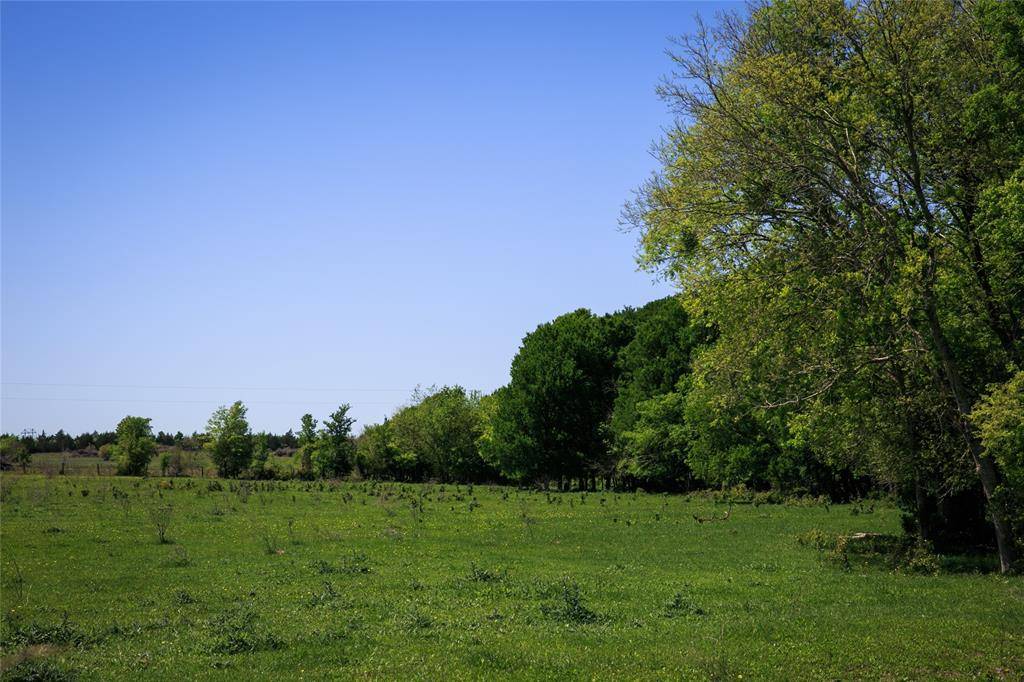 Chappell Hill, TX 77426,84 Acres Caney Creek Road