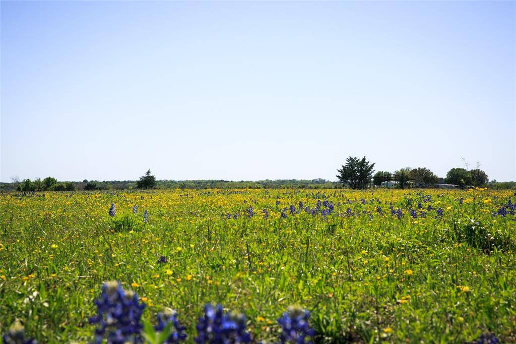 Chappell Hill, TX 77426,84 Acres Caney Creek Road