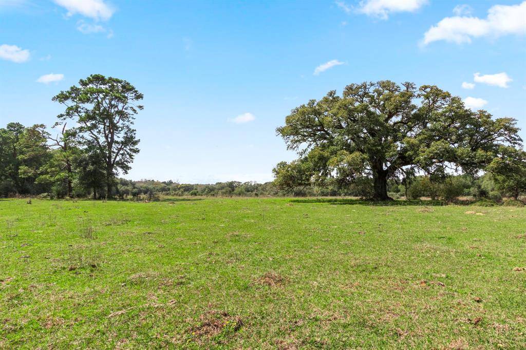 Alleyton, TX 78935,000 Frelsburg RD