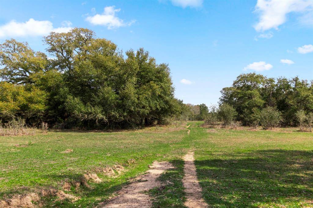 Alleyton, TX 78935,000 Frelsburg RD