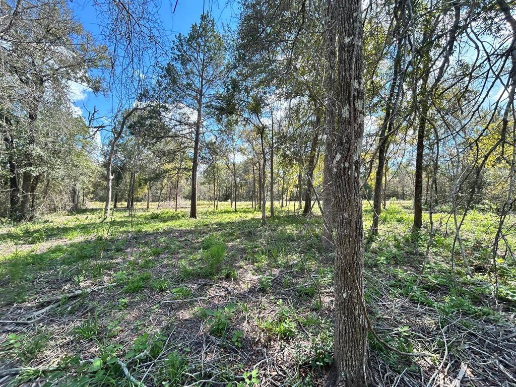 Hempstead, TX 77445,29699 West McClellan CT
