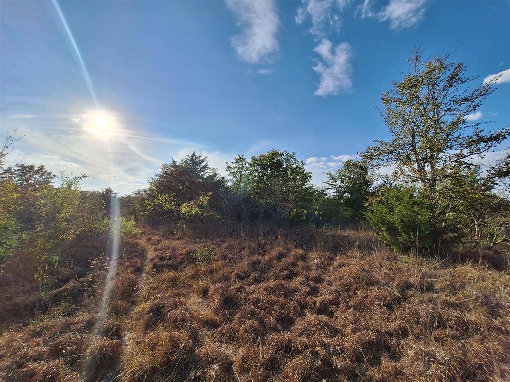 Caldwell, TX 77836,Lot 10 Timber RDG