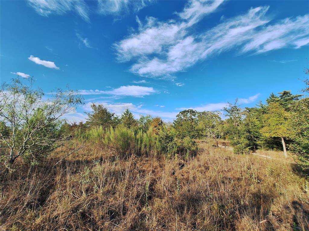 Caldwell, TX 77836,Lot 10 Timber RDG