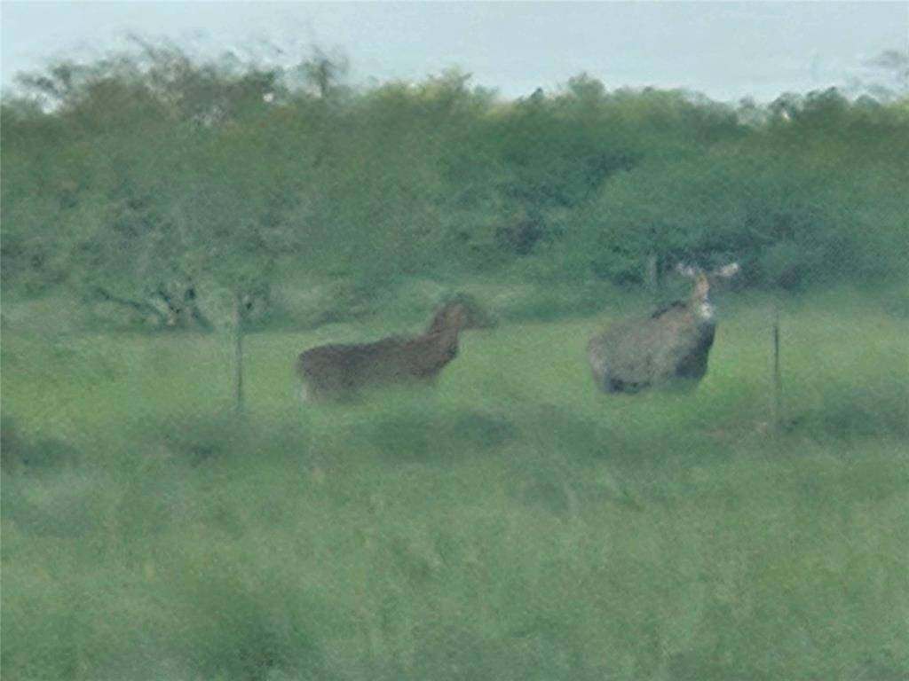 Los Fresnos, TX 78566,36368 Tx-100