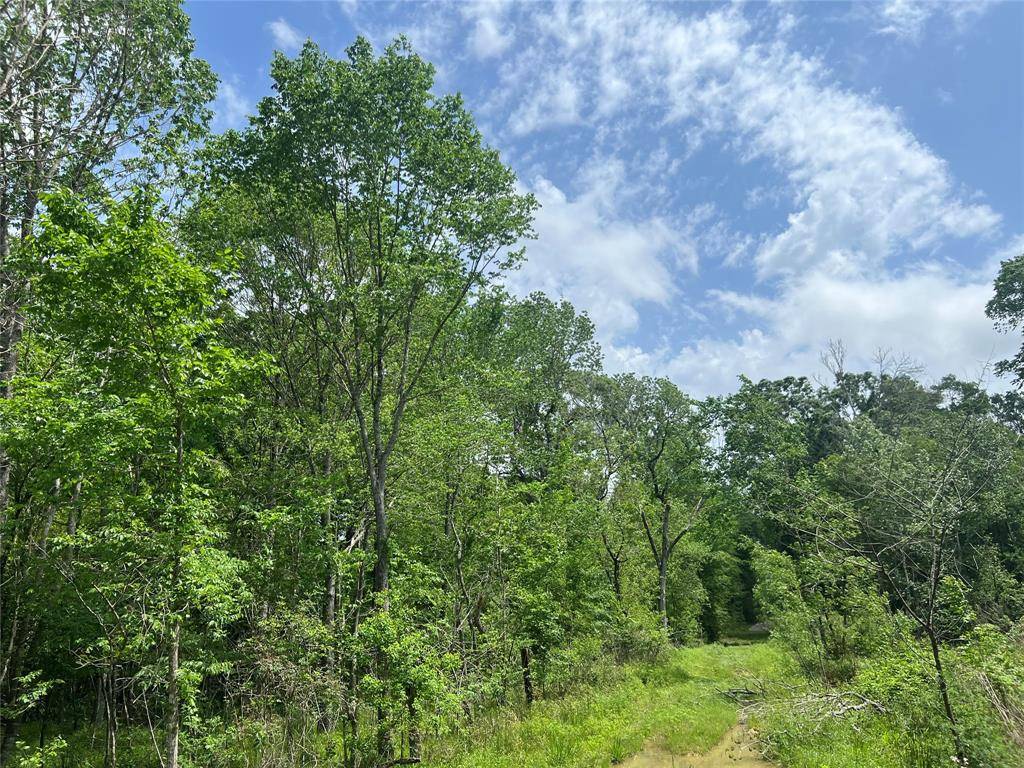 Liberty, TX 77575,000 County Road 158