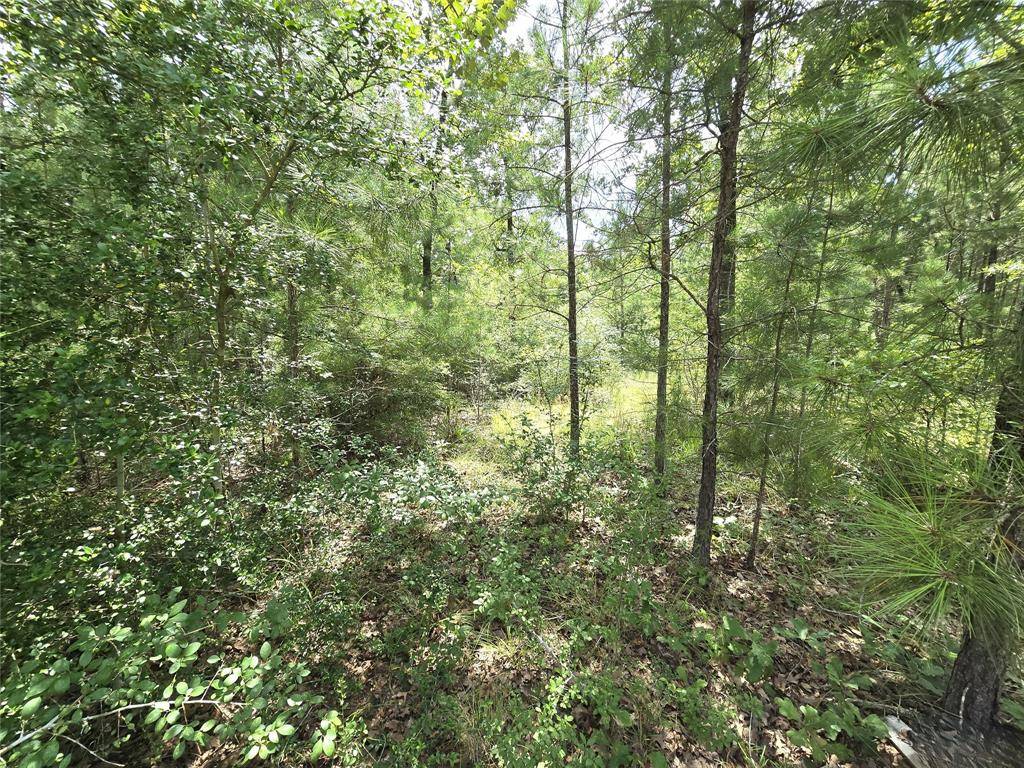 Huntsville, TX 77320,TBD Oakwood DR
