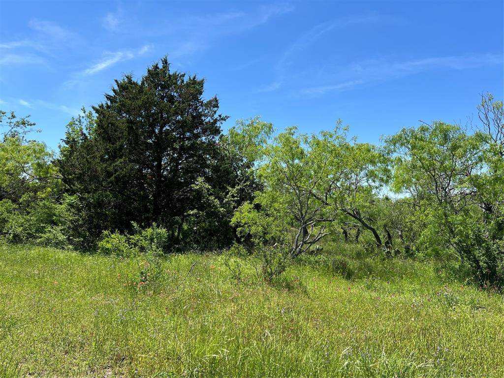 Gonzales, TX 78629,Tract 3 CR 482