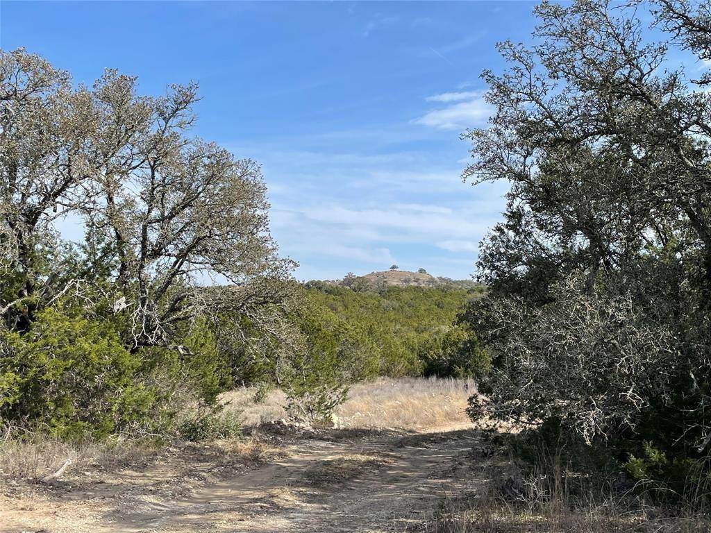 Round Mountain, TX 78663,2078 W Ranch Road 962 LOT 26