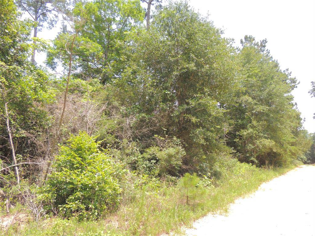 Livingston, TX 77351,000 Limberlost TRL