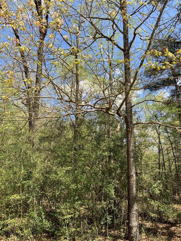 Livingston, TX 77351,157 Foyt DR