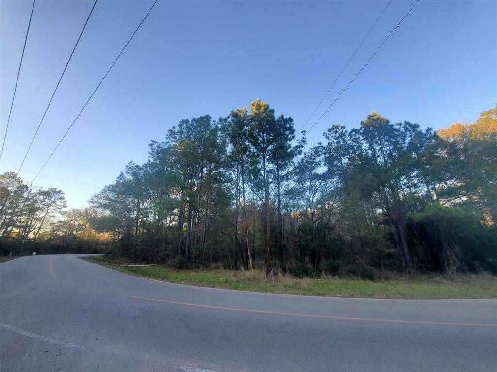 Conroe, TX 77303,9.72+/- Acres Meador Road
