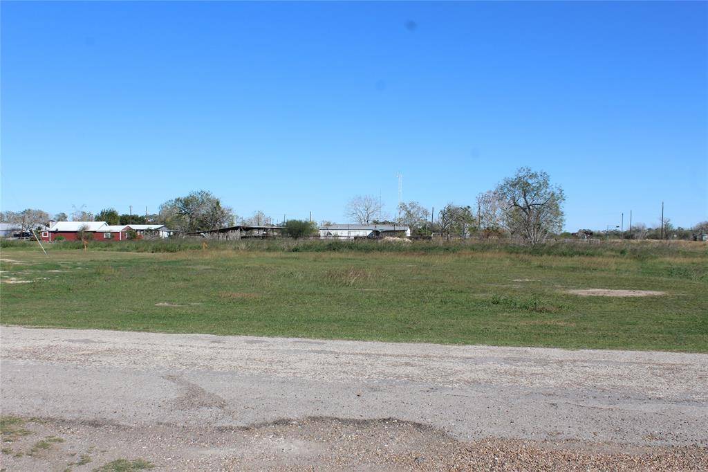 Goliad, TX 77960,TBD Cotton