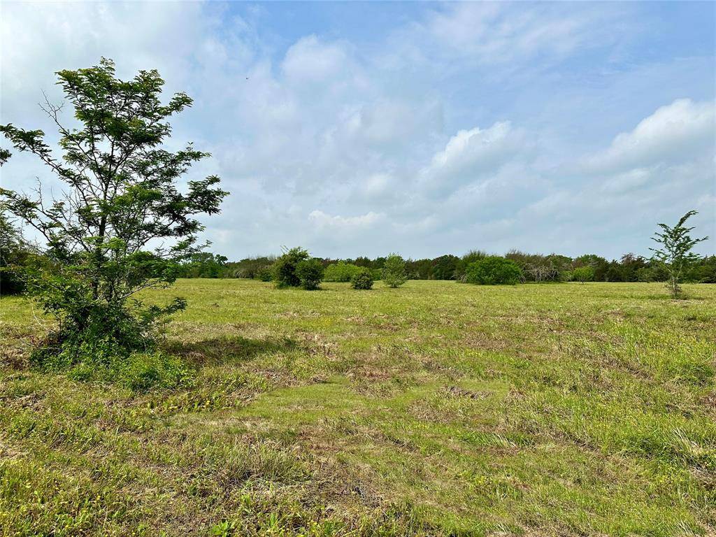 Brenham, TX 77833,0000 Quarry RD