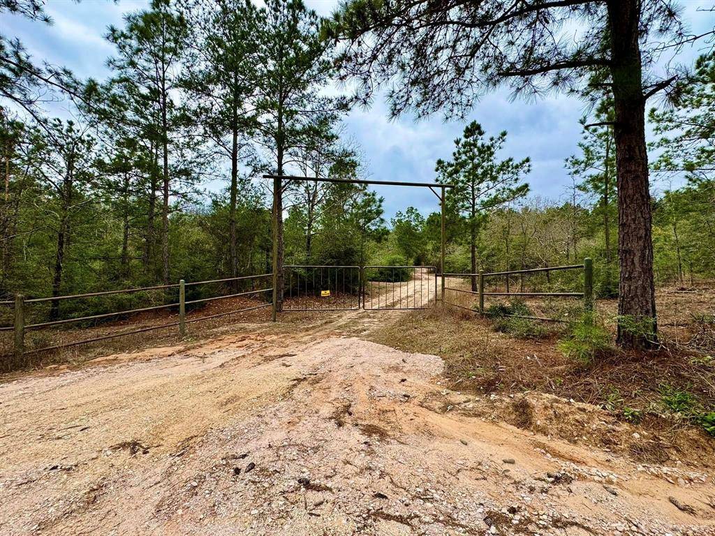 Colmesneil, TX 75938,915 County Road 3266