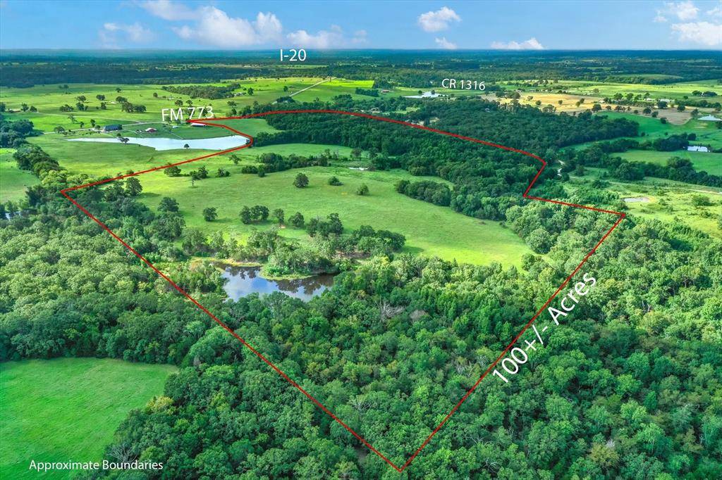 Grand Saline, TX 75140,100+/- Acres FM 773