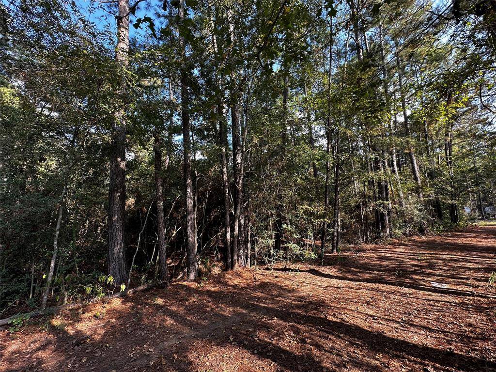 Plantersville, TX 77363,Lot 17 Yellow Poplar LN