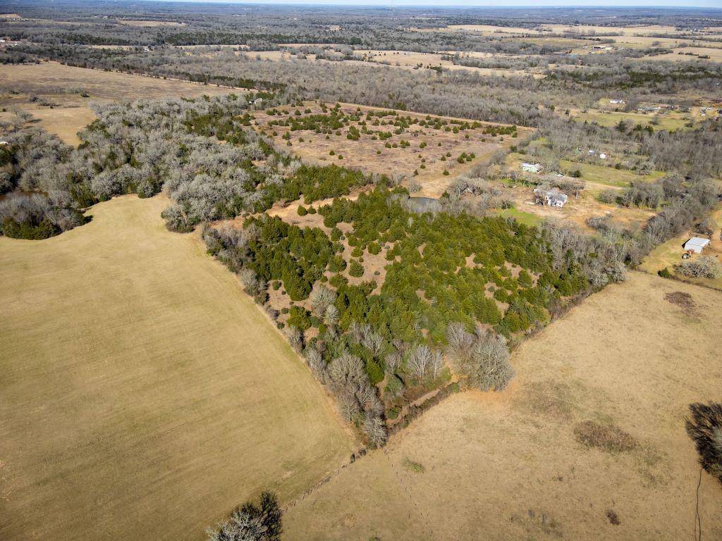 Caldwell, TX 77836,TBD-Tract 3 CR 315