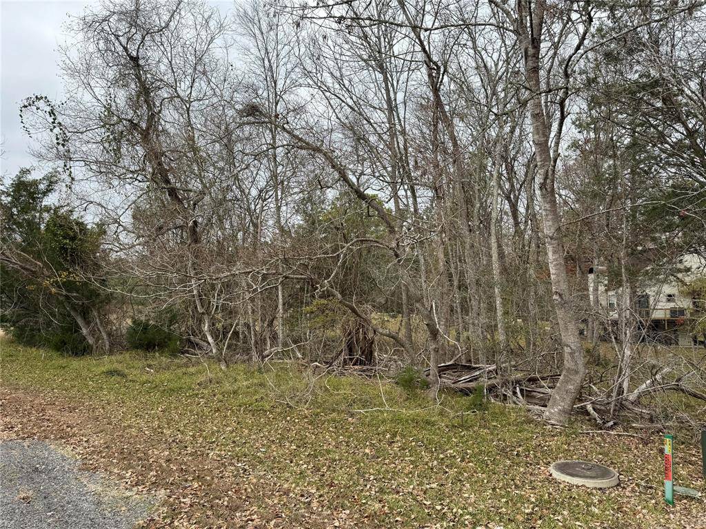 Coldspring, TX 77331,Lot 100 Elm Cove CIR