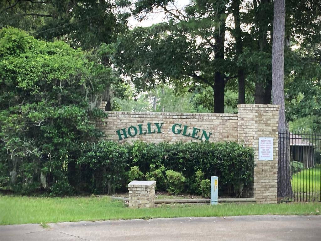 Point Blank, TX 77364,111 S Holly Glen DR