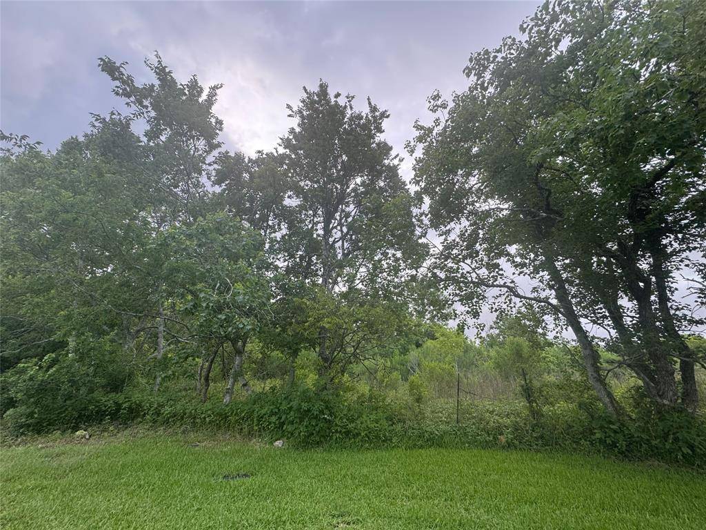 San Leon, TX 77536,0 TBD