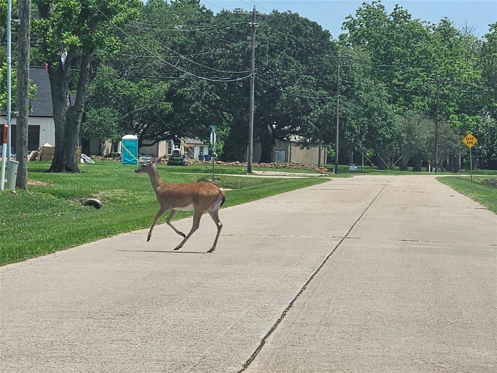 Angleton, TX 77515,619 Longhorn TRL