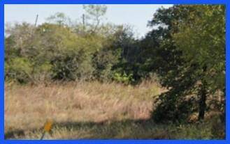 Waelder, TX 78959,TBD FM 1680 RD