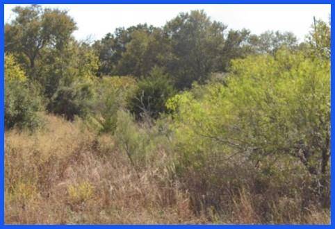 Waelder, TX 78959,TBD FM 1680 RD