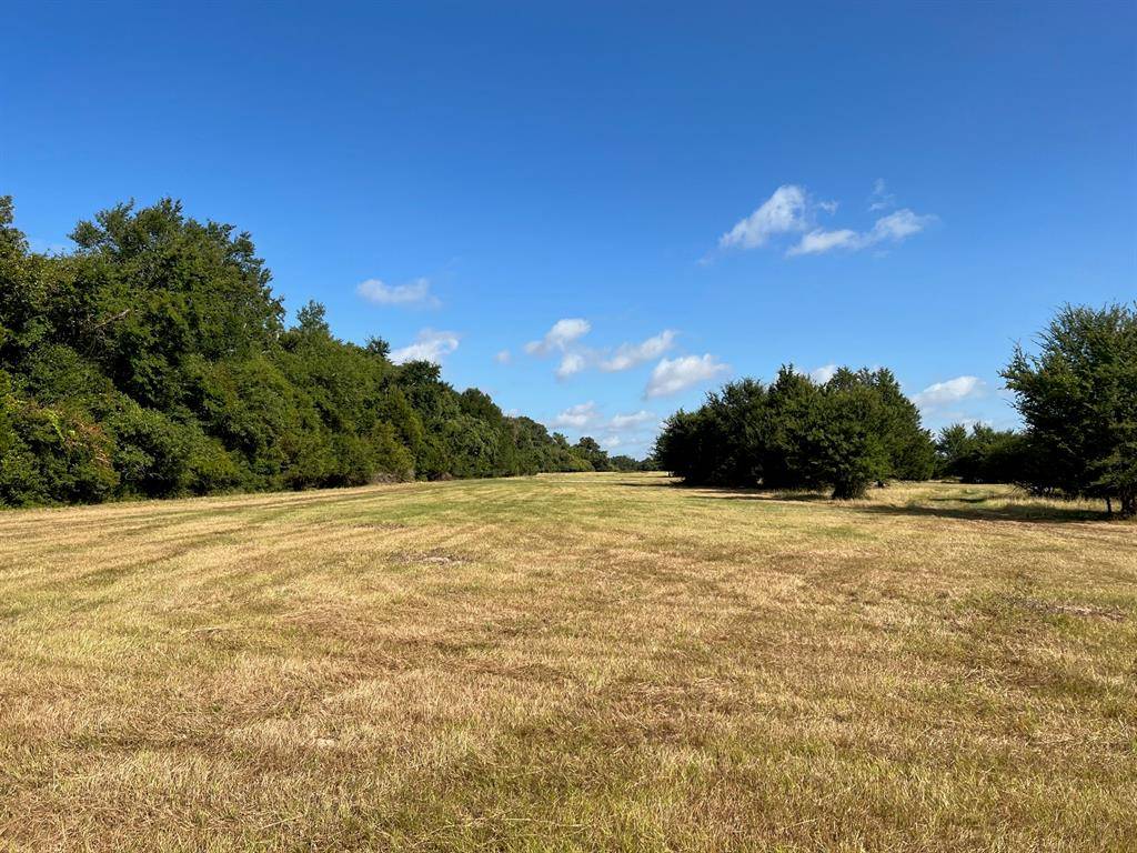 Jewett, TX 75846,19.5 ac CR 345