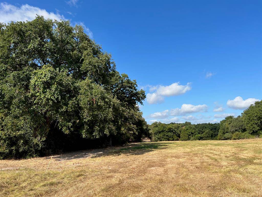 Jewett, TX 75846,19.5 ac CR 345