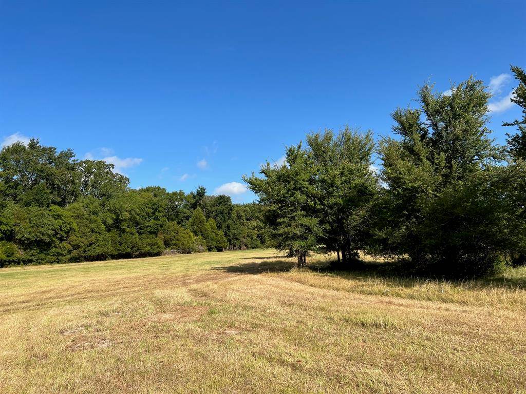 Jewett, TX 75846,19.5 ac CR 345