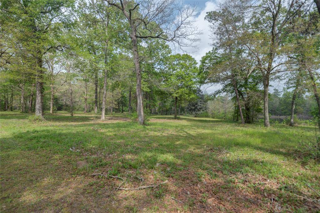 New Caney, TX 77357,TBD Firetower RD