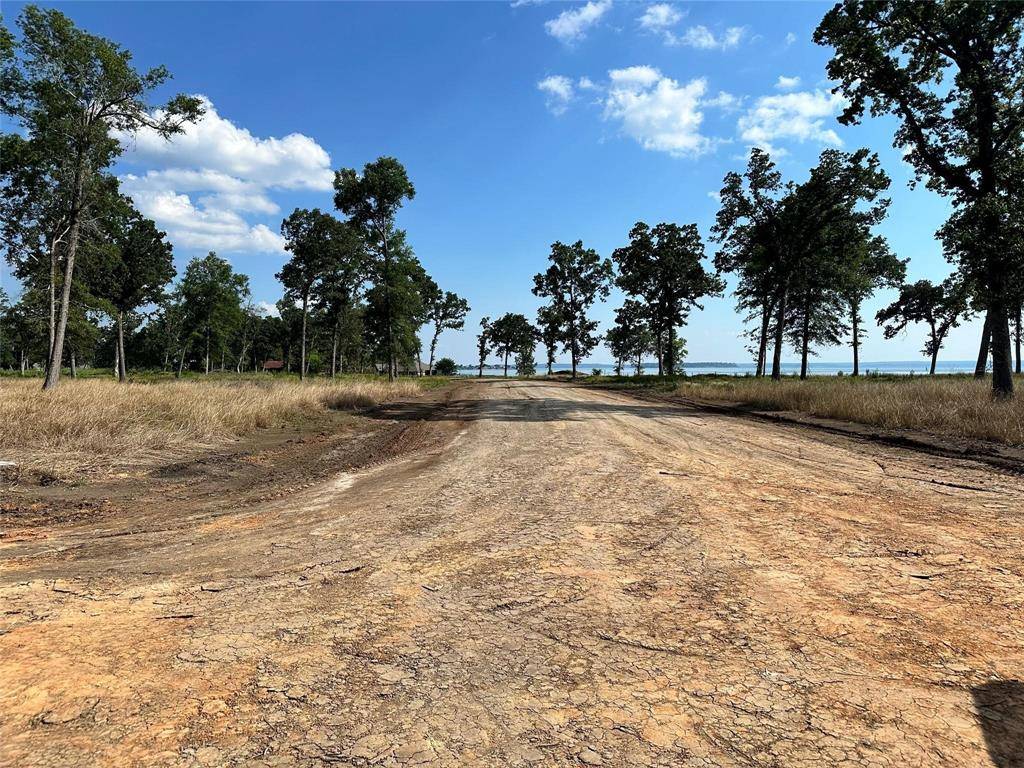 Livingston, TX 77351,Lot 27 Island View Estates