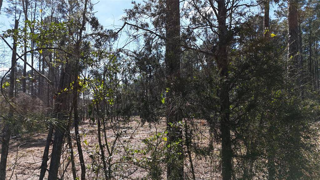 Livingston, TX 77351,TBD Fm 942