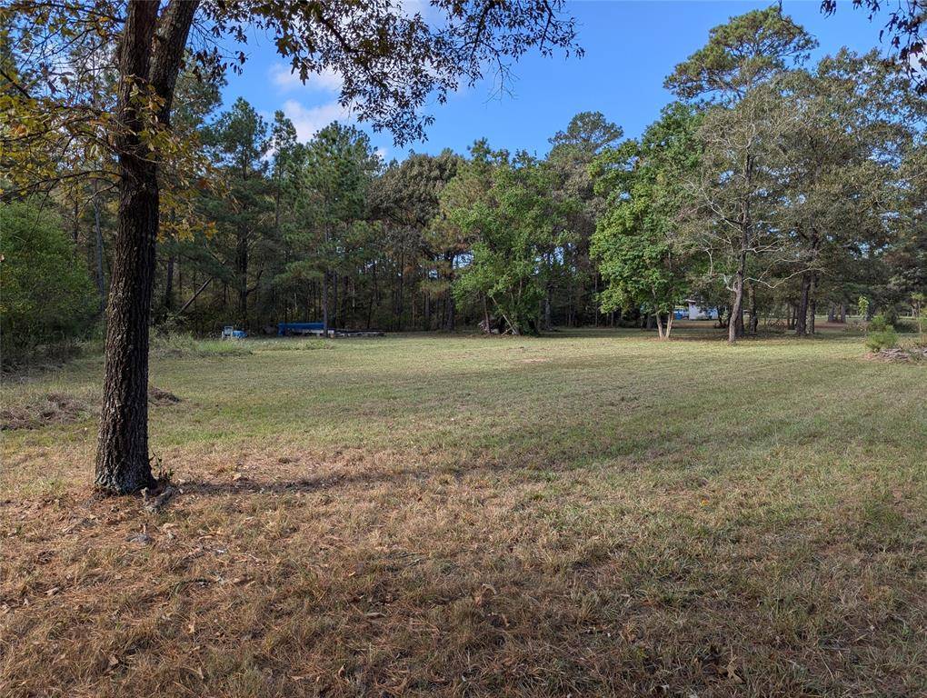 Plantersville, TX 77363,11302 County Road 351