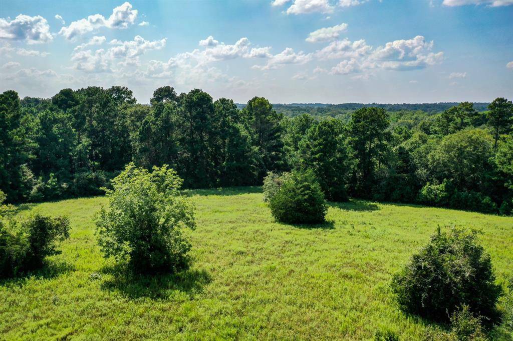 Huntsville, TX 77340,34 Acres FM 1374