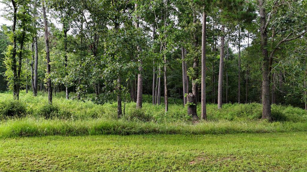 Huntsville, TX 77320,035 Naples WAY