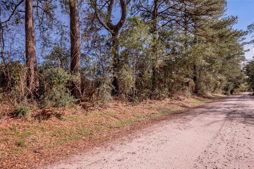 Groveton, TX 75845,262 Bill Jones RD