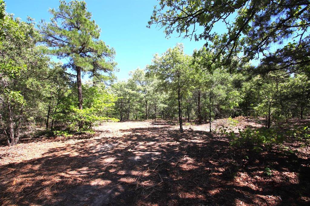 Winnsboro, TX 75494,TBD County Road 4552