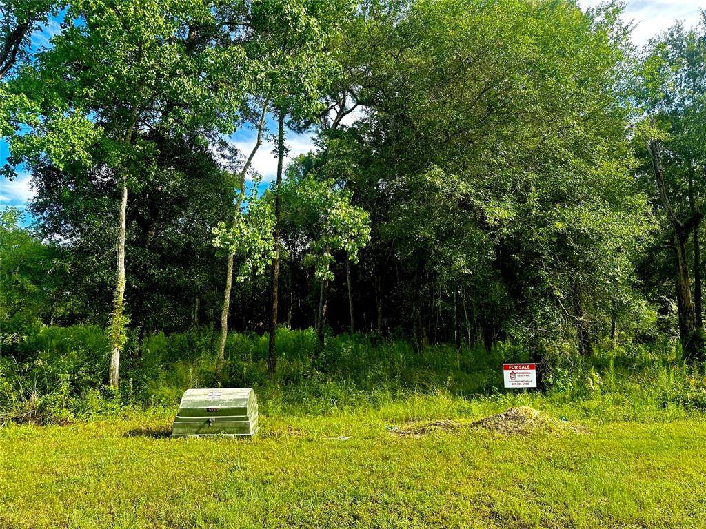 Dayton, TX 77535,590 Road 6609
