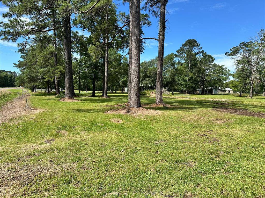 Sour Lake, TX 77659,15748 Highway 326 N