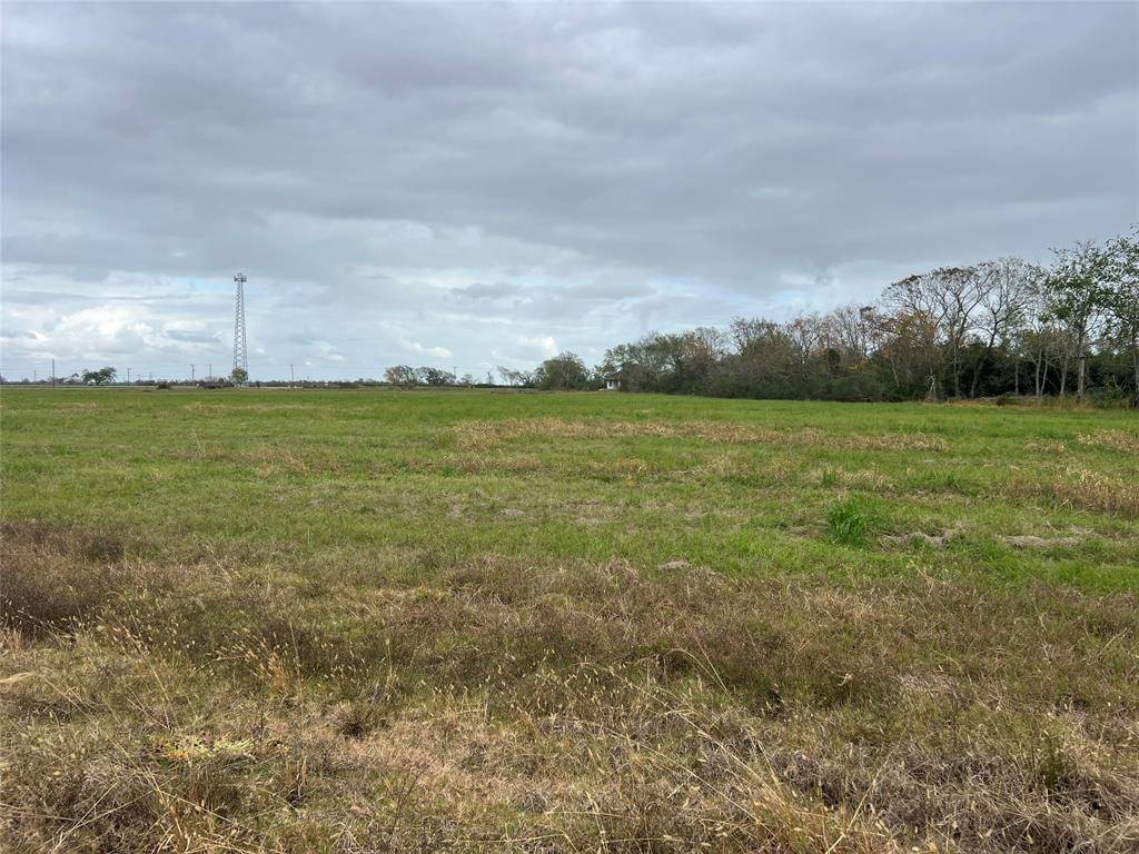 Angleton, TX 77515,00000 Brahman TRL