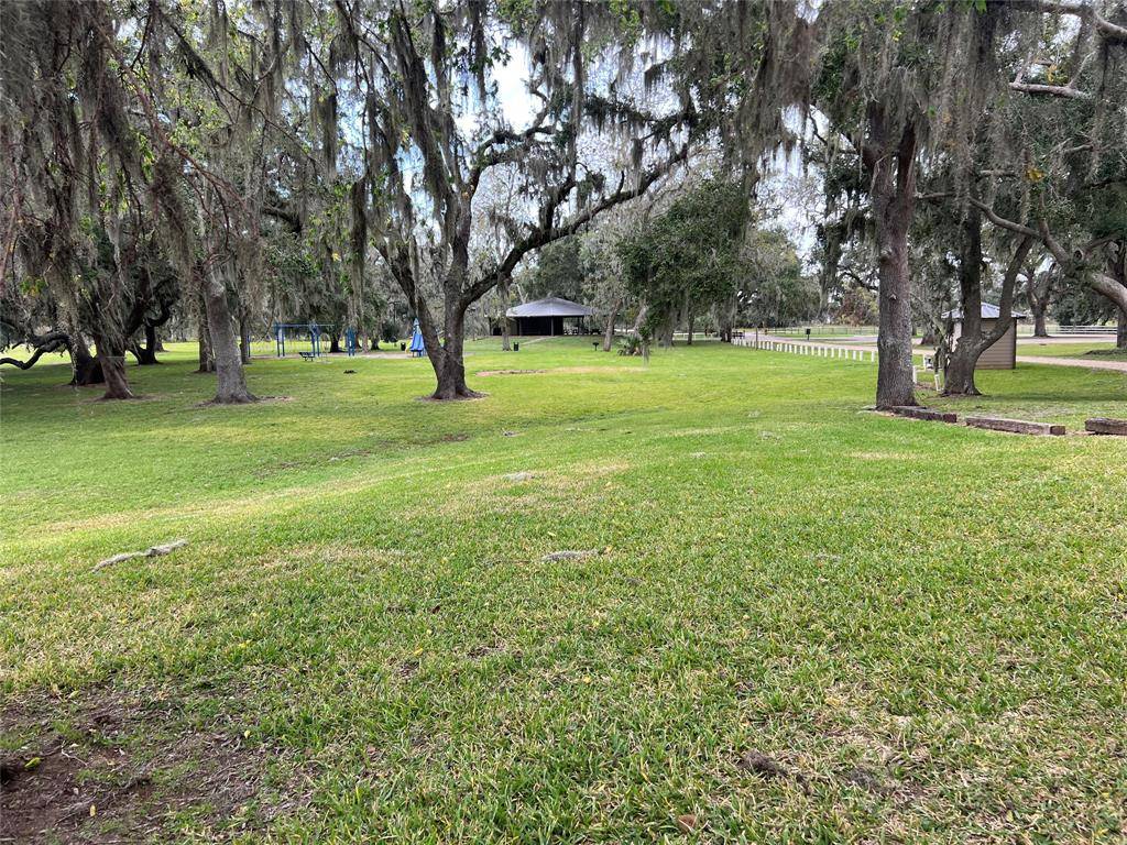 Angleton, TX 77515,00000 Brahman TRL