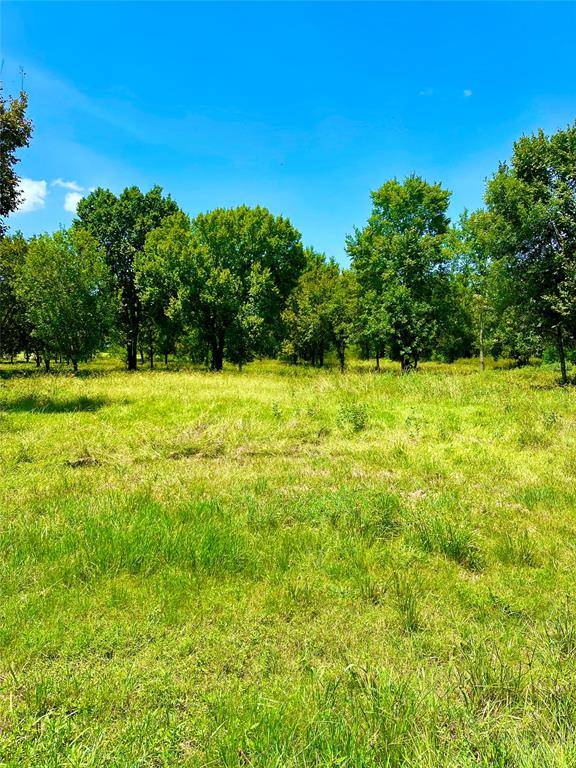 Hempstead, TX 77445,Lot 24 Jackrabbit RD