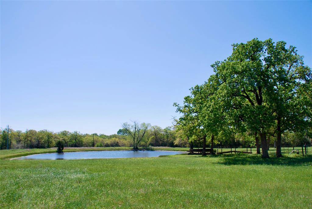 Flatonia, TX 78941,6440 Mockingbird RD