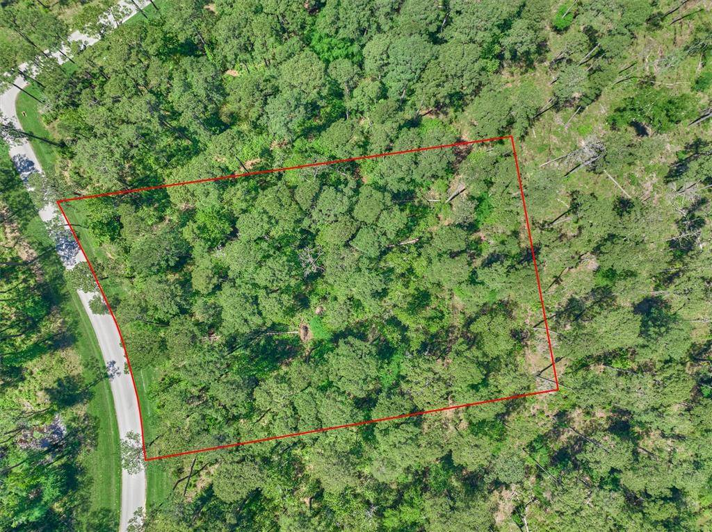 Montgomery, TX 77316,4552 Lily Bean RD