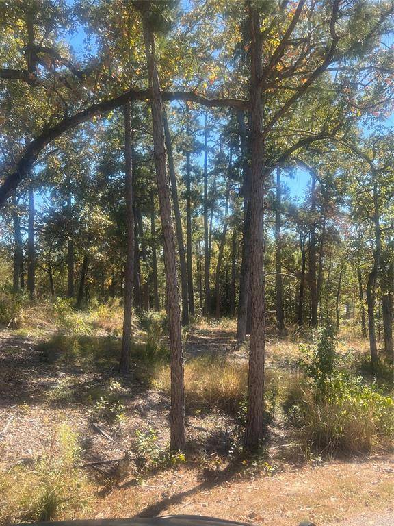 Huntsville, TX 77320,00 Tall Timbers DR