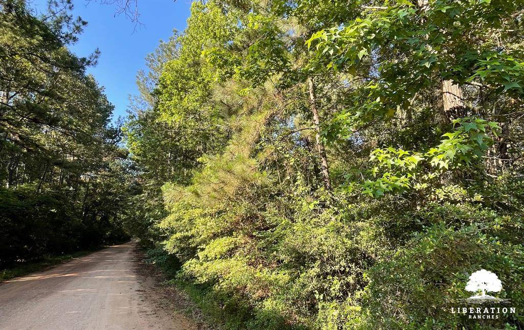Coldspring, TX 77331,TBD John Warren lot 4 RD