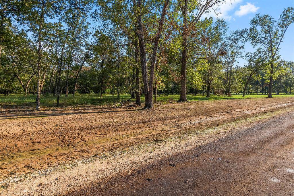 New Waverly, TX 77358,Lot 14 Alans Memorial Lane