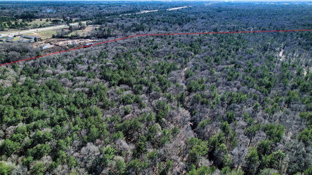 Splendora, TX 77372,000 Green Forest DR